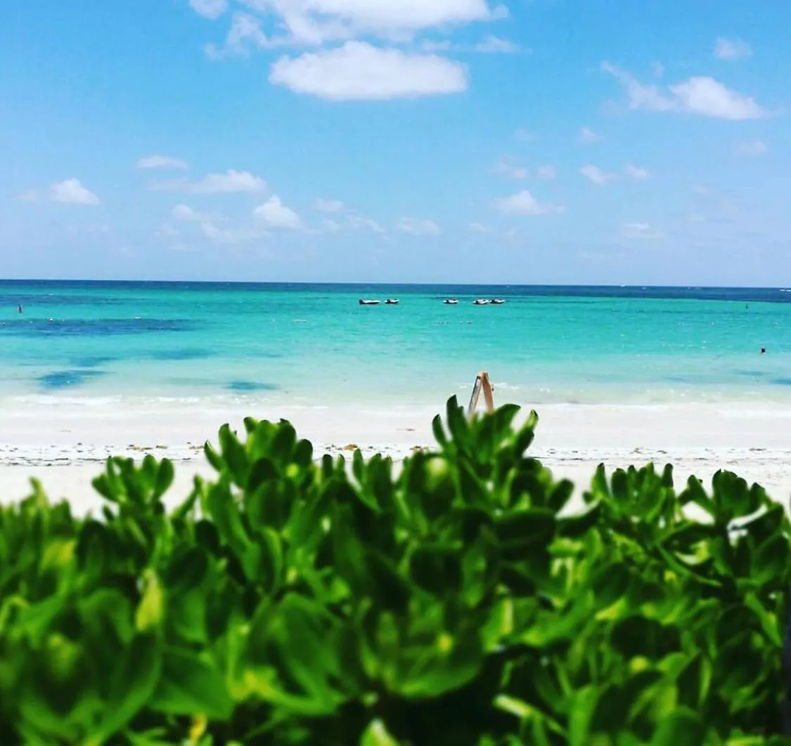 Soriano Boutique Rooms Private Beach Punta Cana Guest house